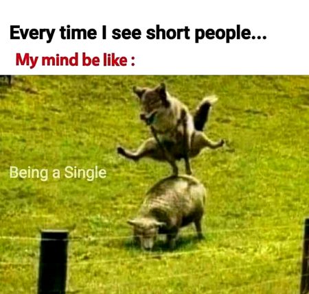 Funny joke