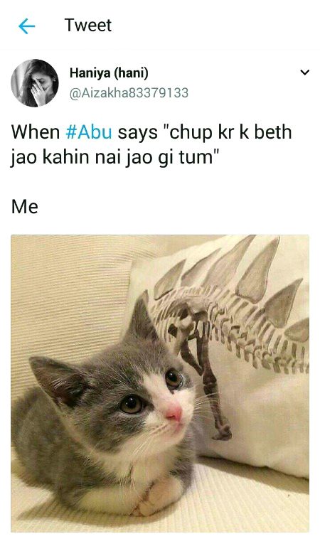 Memes & Satire image