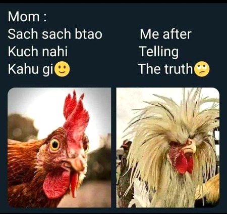 Memes & Satire image