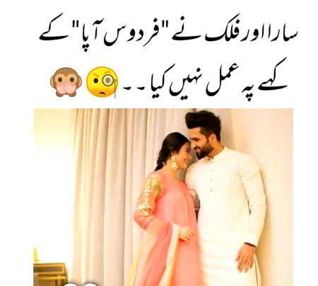 Memes & Satire image