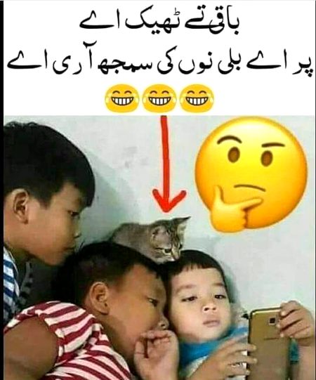 Memes & Satire image