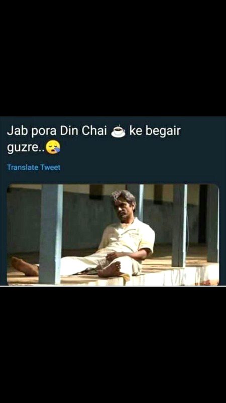 Memes & Satire image