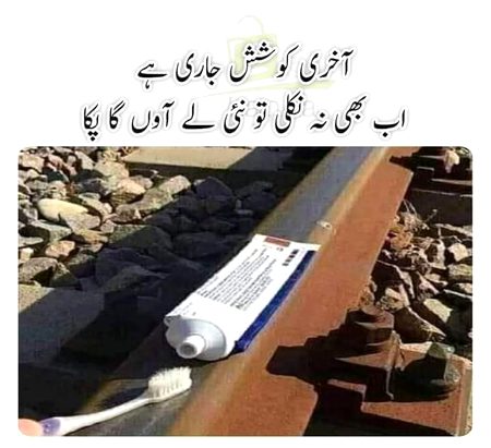 Memes & Satire image