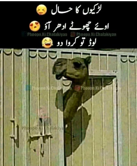 Funny joke