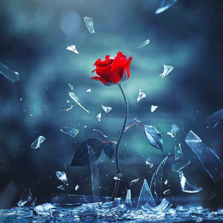 Beautiful Nature image