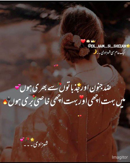 Attitude Quotes image