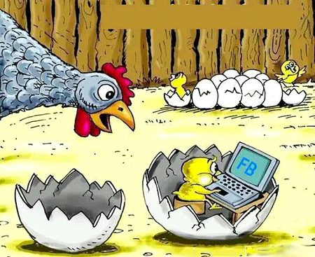 Memes & Satire image