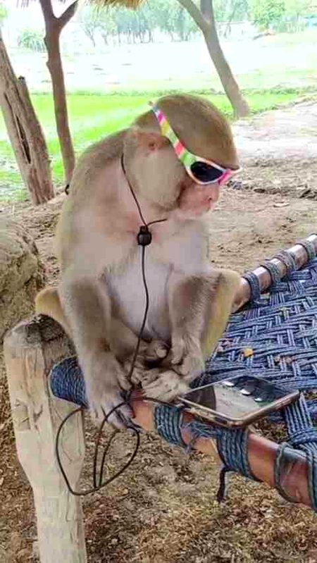 Beautiful Nature image