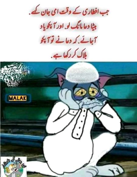 Memes & Satire image