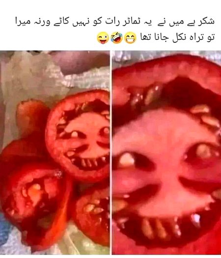 Memes & Satire image