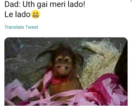 Memes & Satire image