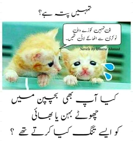 Funny joke