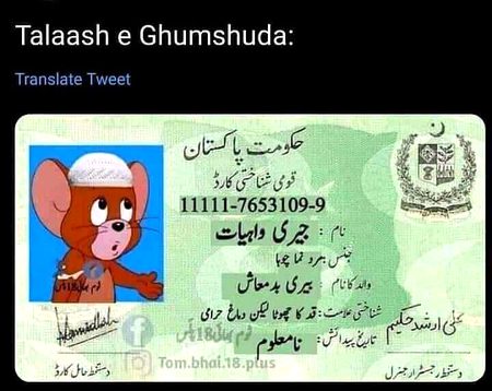 Memes & Satire image