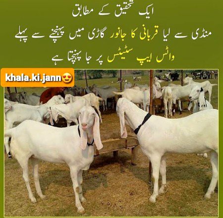 Jokes image