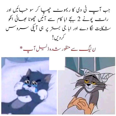 Memes & Satire image