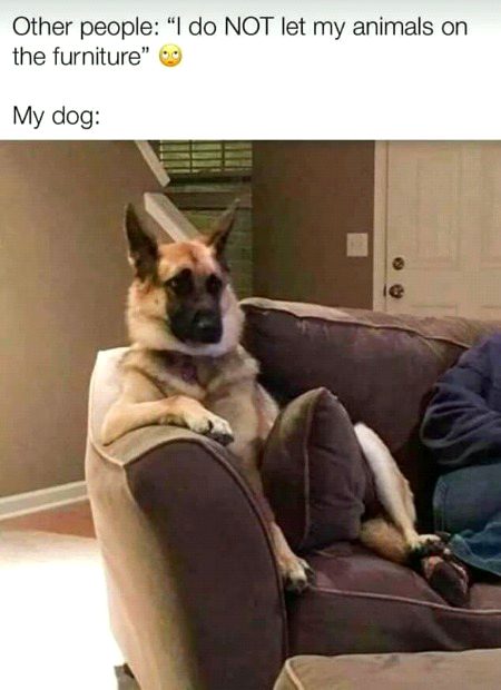 Funny joke