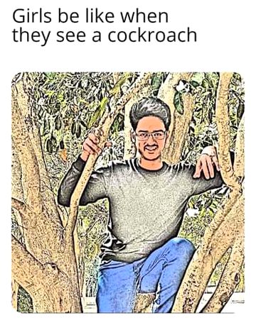 Memes & Satire image
