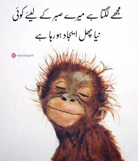 Jokes image