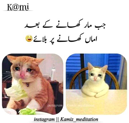 Memes & Satire image