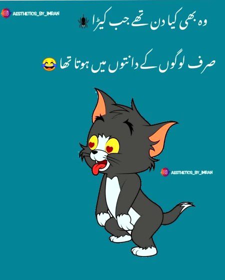 Memes & Satire image