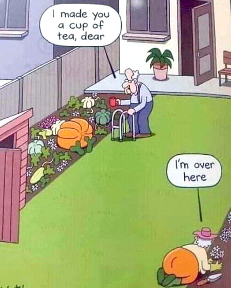 Jokes image