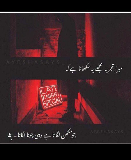 Attitude Quotes image