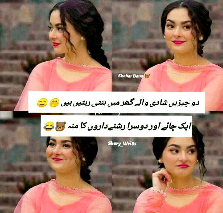 Memes & Satire image