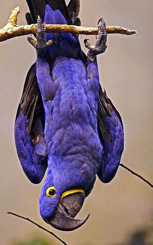 Beautiful Nature image