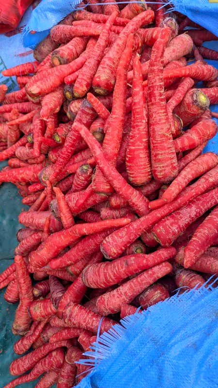 Beautiful Nature image