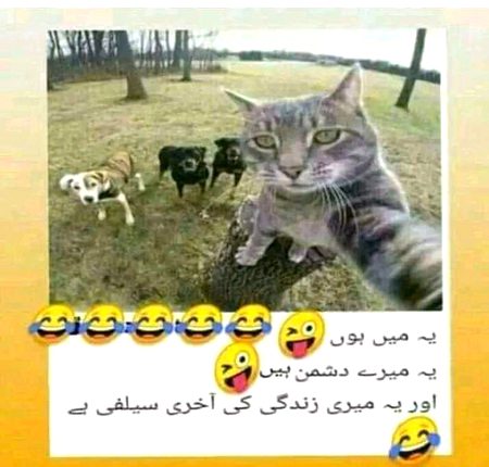 Funny joke