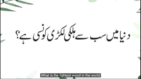 Knowledge Test image