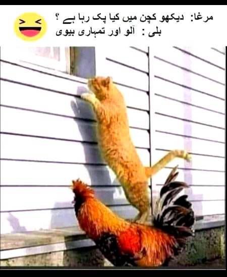 Jokes image