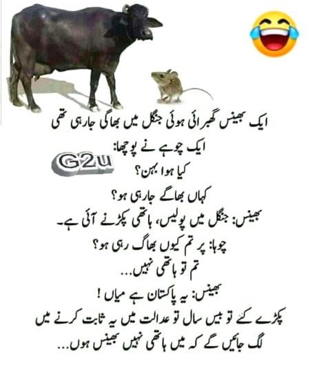 Jokes image