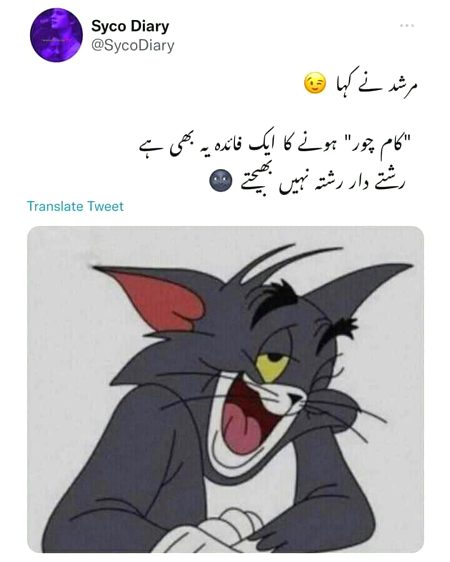 Memes & Satire image