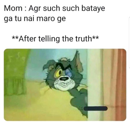 Memes & Satire image