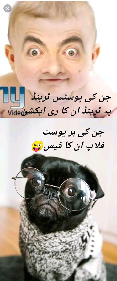 Damadam Roasting image