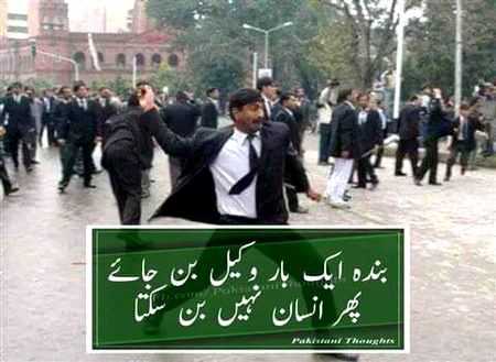 Memes & Satire image