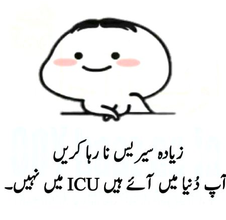 Memes & Satire image