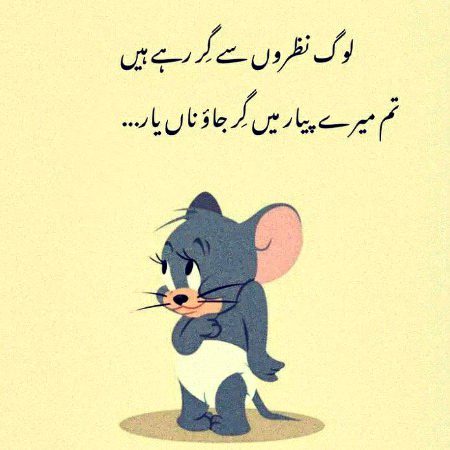 Memes & Satire image