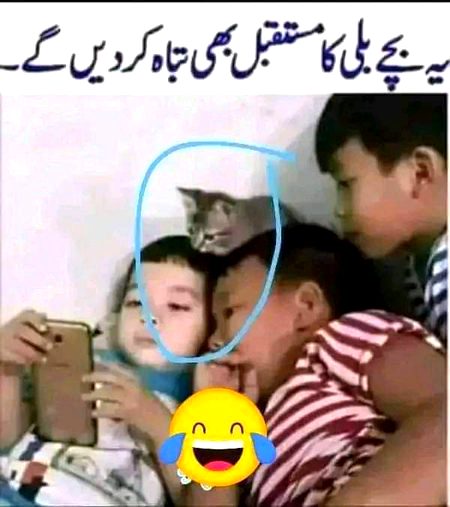 Memes & Satire image