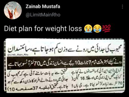 Memes & Satire image