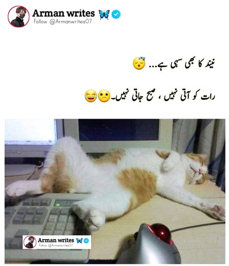 Memes & Satire image