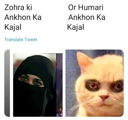 Memes & Satire image