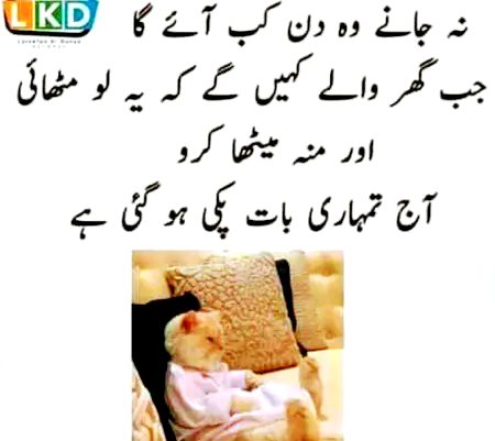 Memes & Satire image