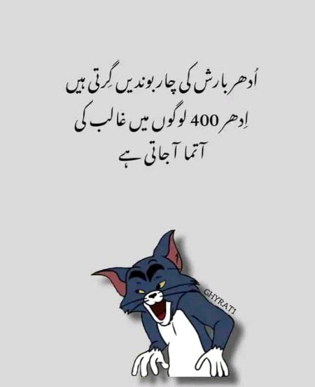 Memes & Satire image