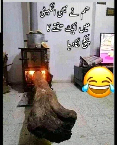 Memes & Satire image