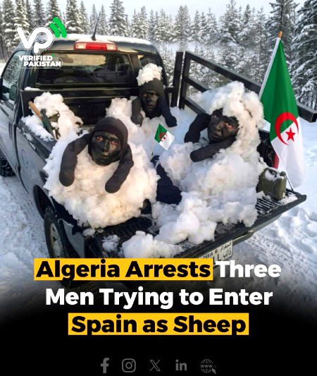 Memes & Satire image