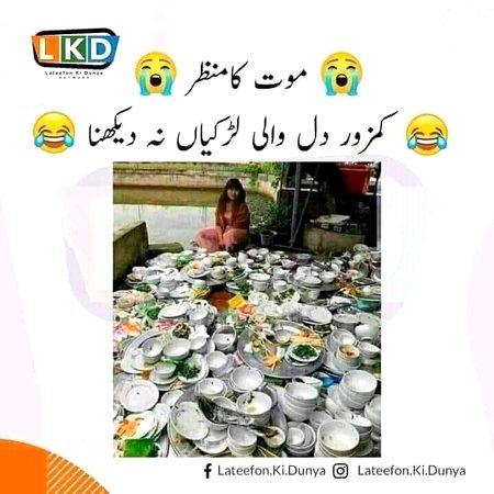 Memes & Satire image