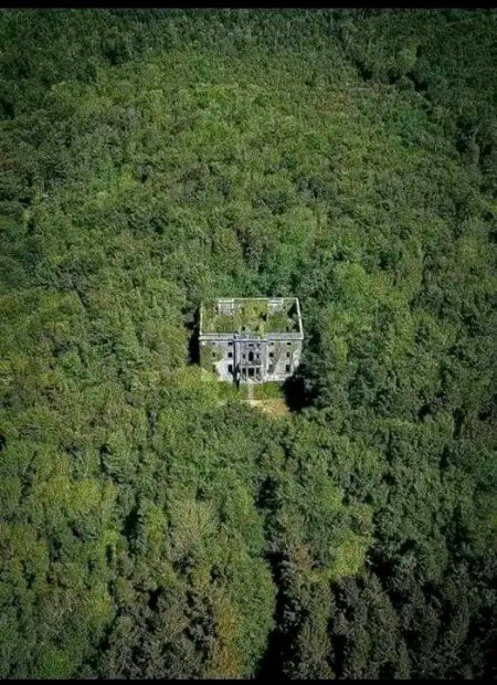 Beautiful Nature image