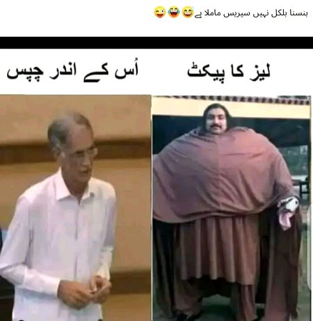 Memes & Satire image